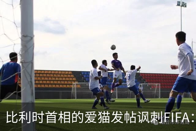 比利时首相的爱猫发帖讽刺FIFA：“红牌？”我照样继续踢！